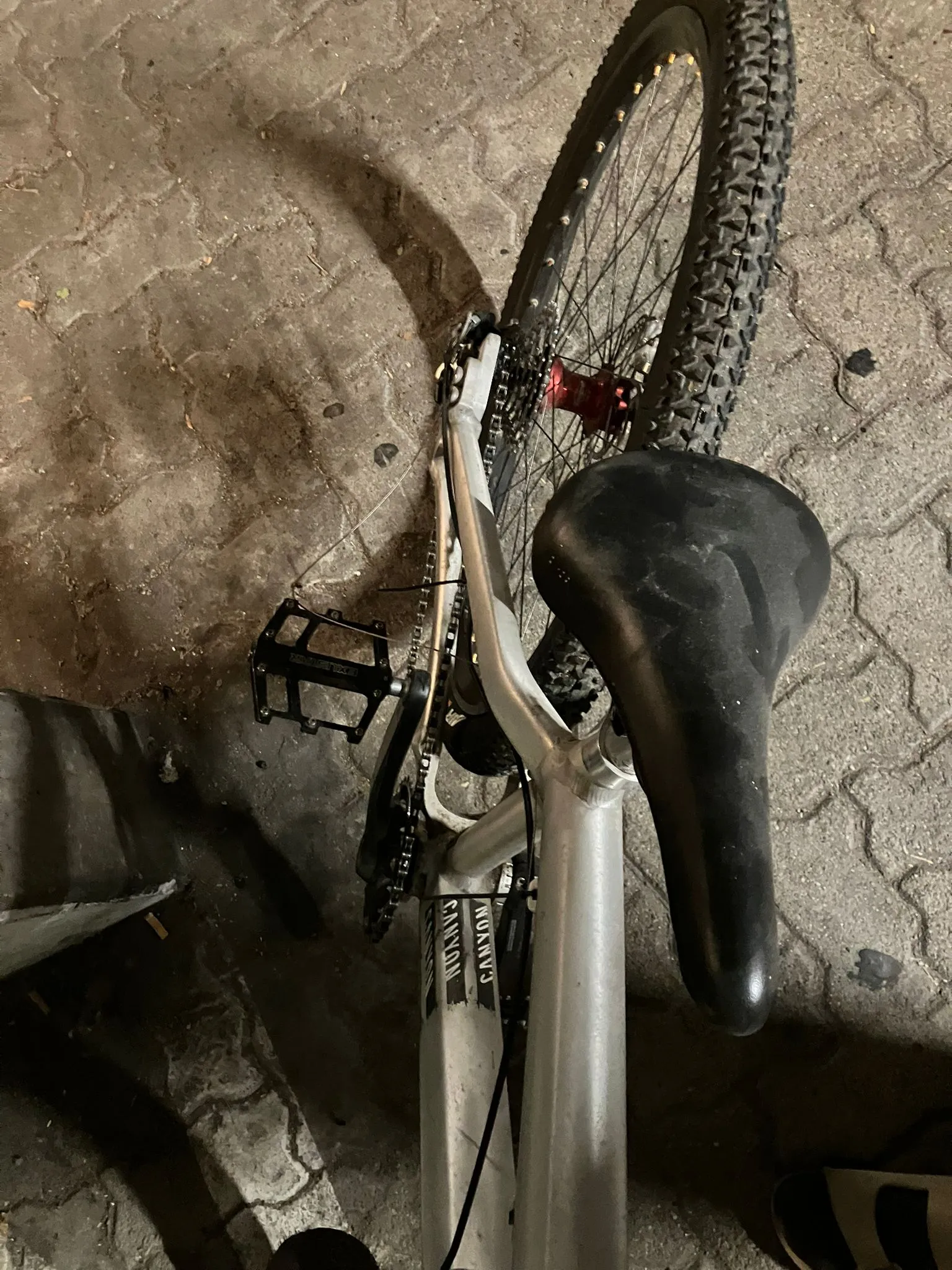 Dirt bike für Bastler
Canyon alu-Rahmen
formula bremsen
RockShox Gabel
2 Felgen Sätze, einer mit Hope Narben
Gangschaltung fürs Hinterrad

Gewicht ~11,5 kg (ohne Schaltung und mit dem leichteren Felgensatz waren es mal 10kg)n!